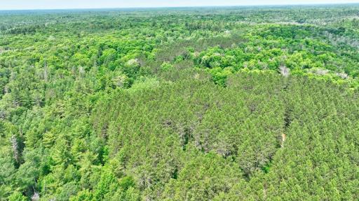 068_dji_0751_125.jpg