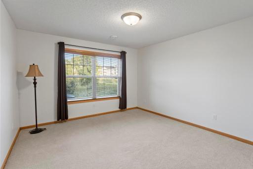 Generous Space for Guests in this 3rd Bedroom at Lower Level
