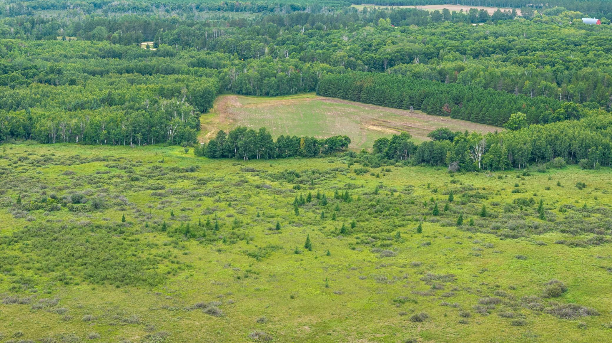 16-DJI_20260823151850_0106_D.jpg
