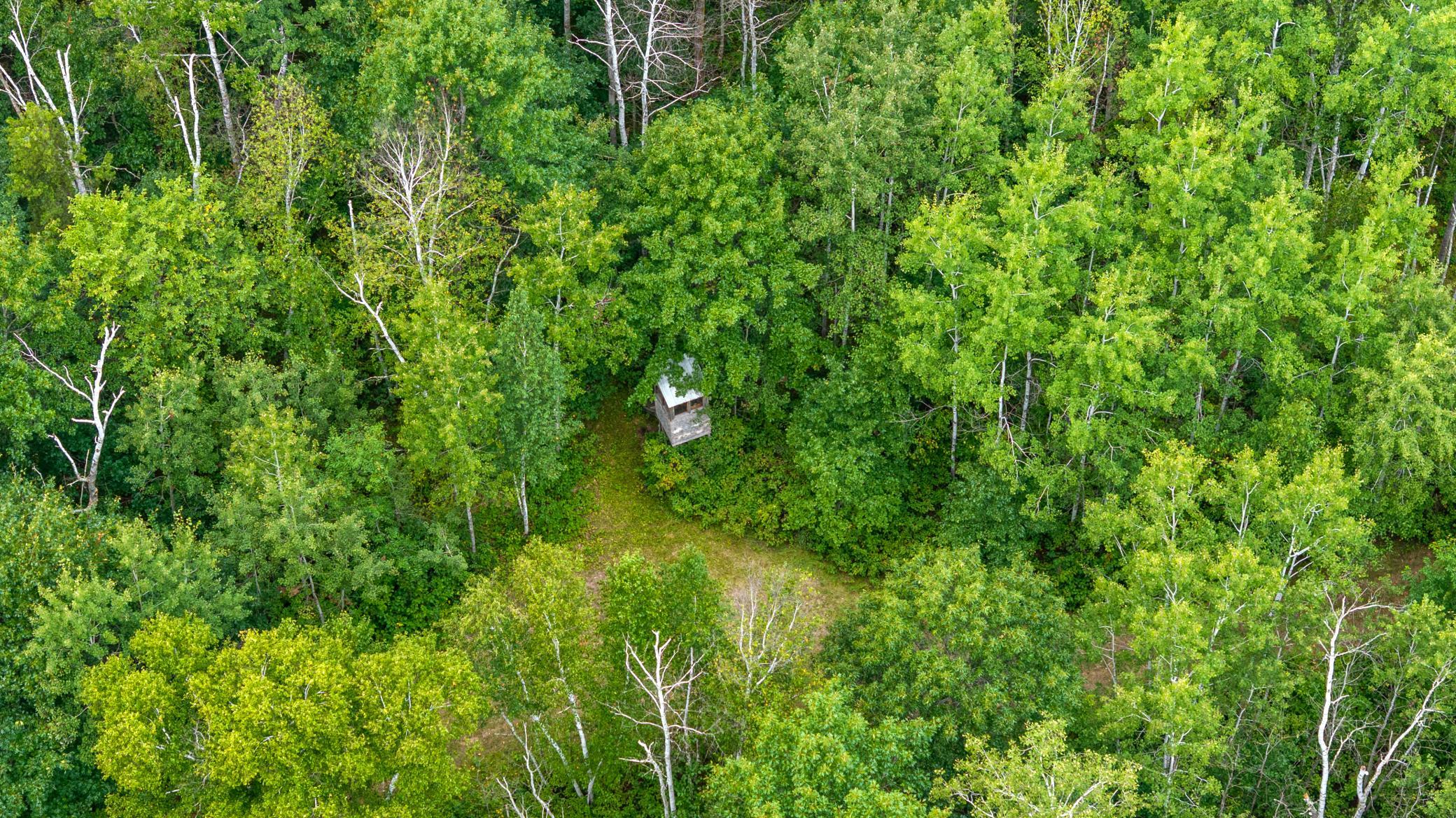 21-DJI_20260823152142_0124_D.jpg
