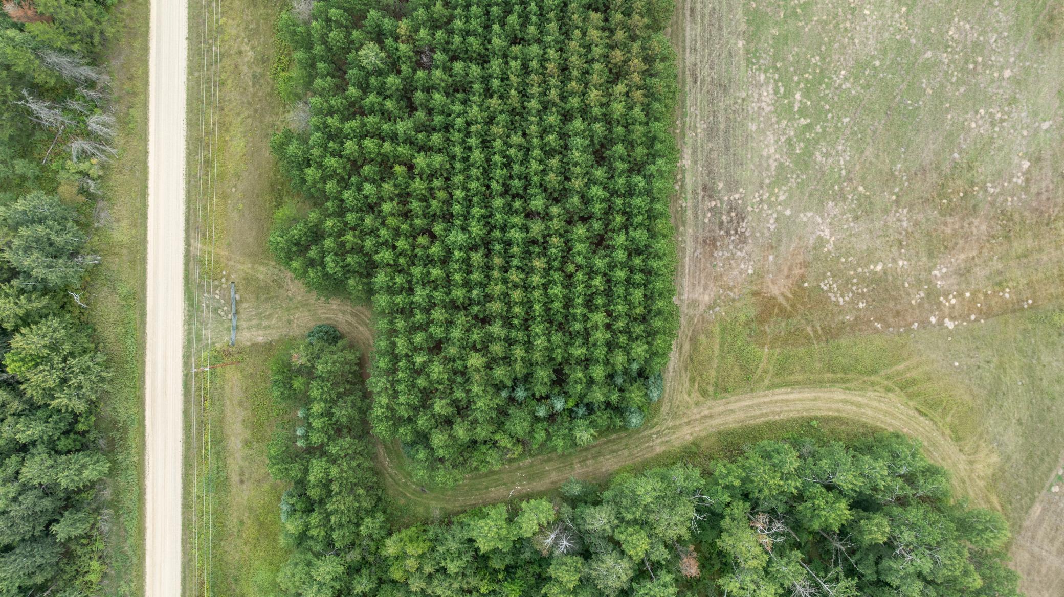 34-DJI_20260823152739_0145_D.jpg