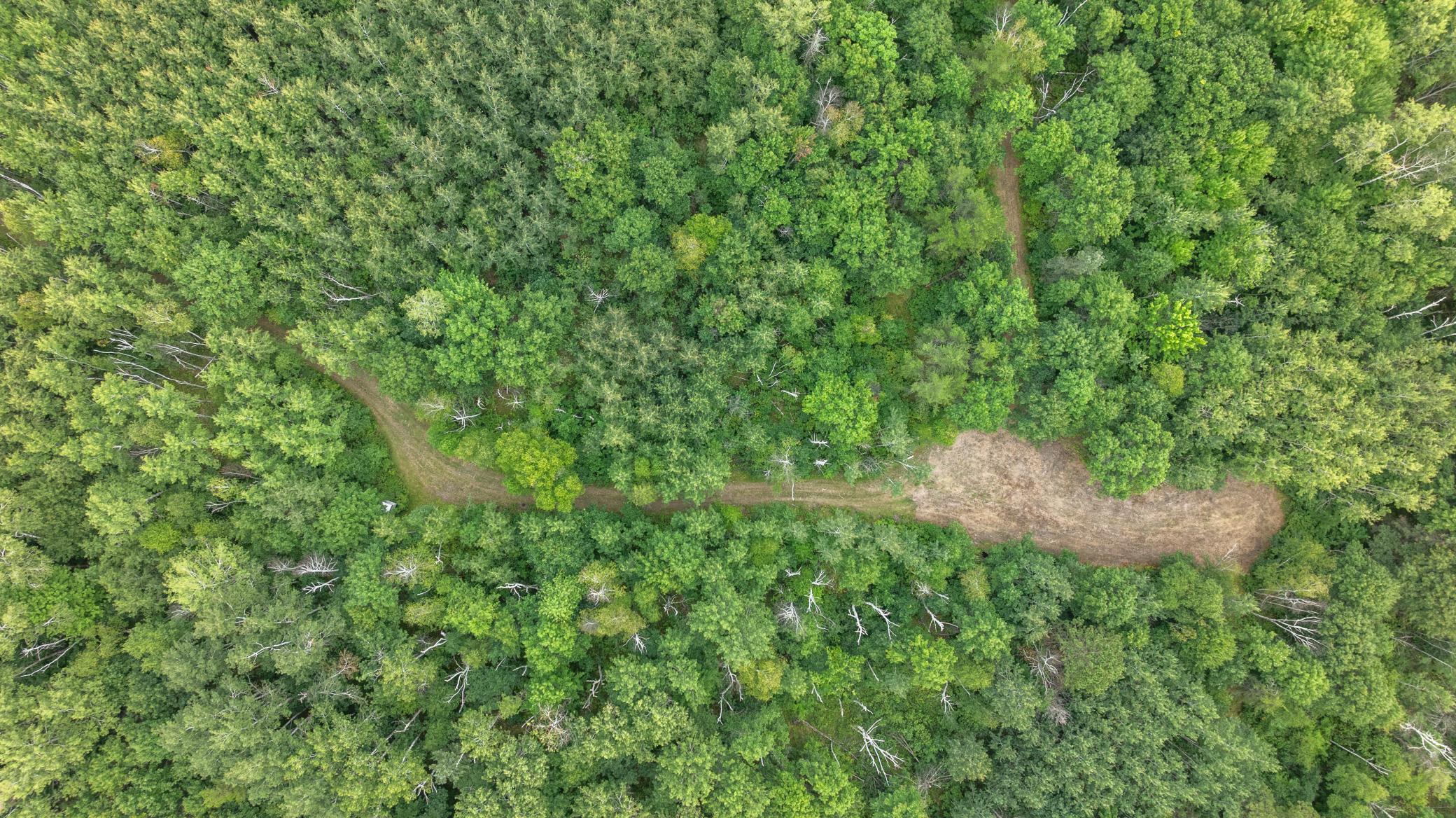 36-DJI_20260823154054_0199_D.jpg