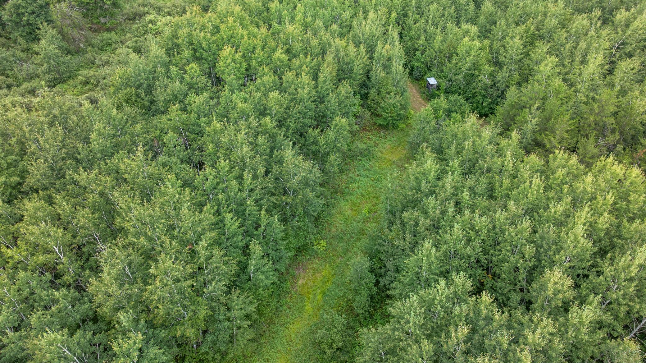 37-DJI_20260823152933_0157_D.jpg