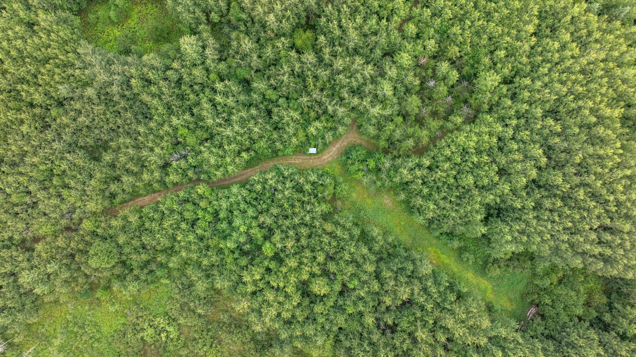 27-DJI_20260823152956_0160_D.jpg