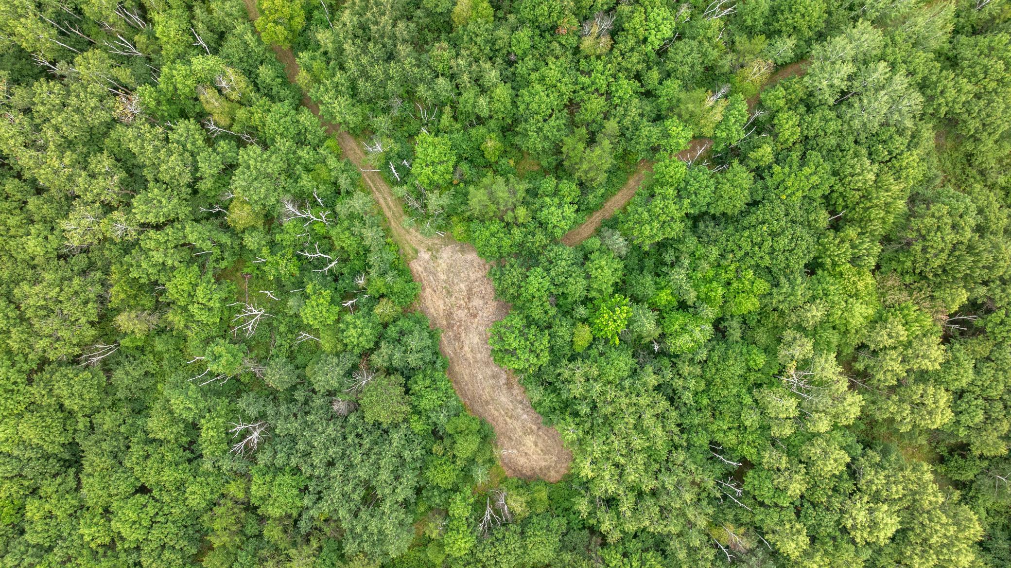 20-DJI_20260823152122_0121_D.jpg