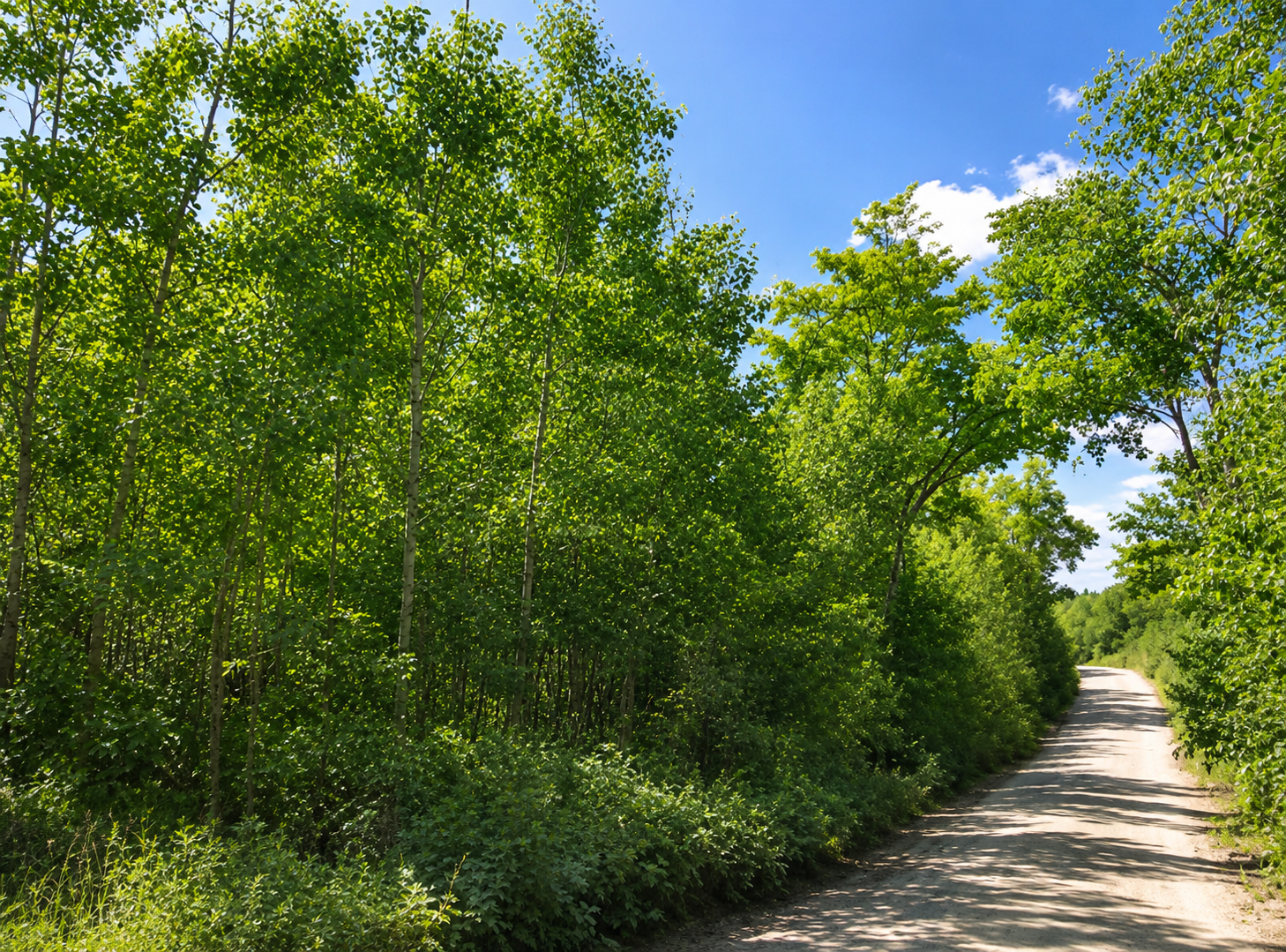 Property photo for TBD S Boy Lake Drive NE, Remer, MN 56672