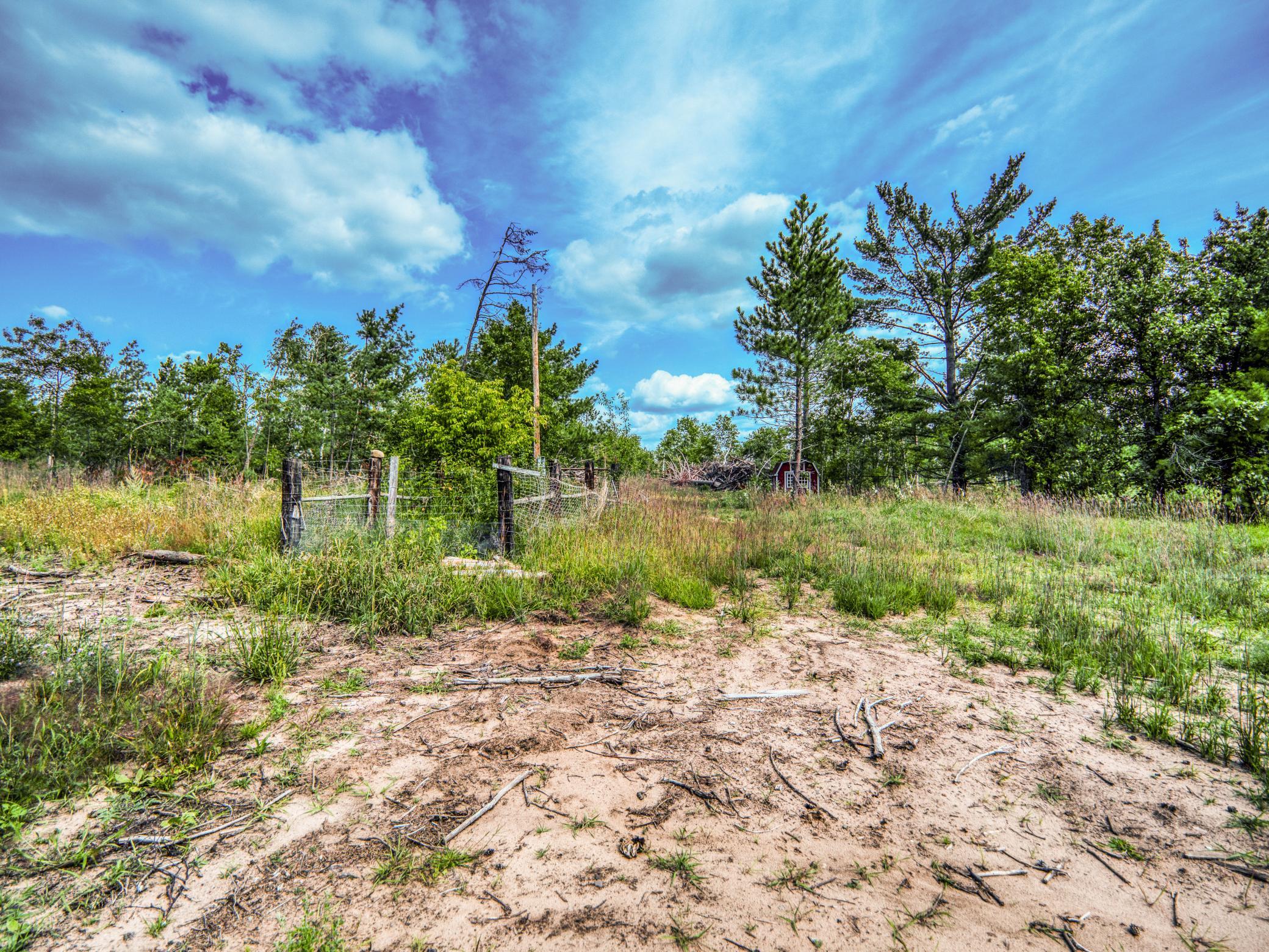 Wooded Acreage 2.jpg