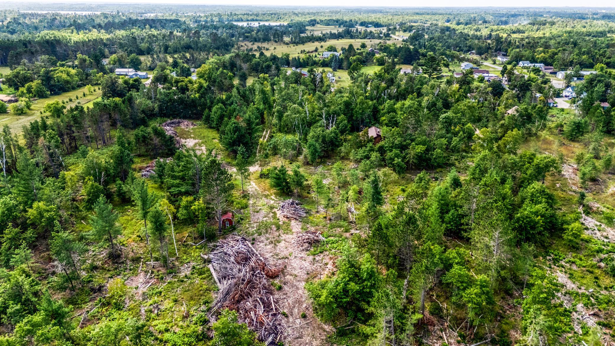 Aerial View.jpg