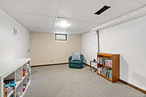 A generous lower-level family room with plenty of room to spread out while having extensive storage options.