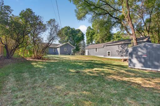 Back yard