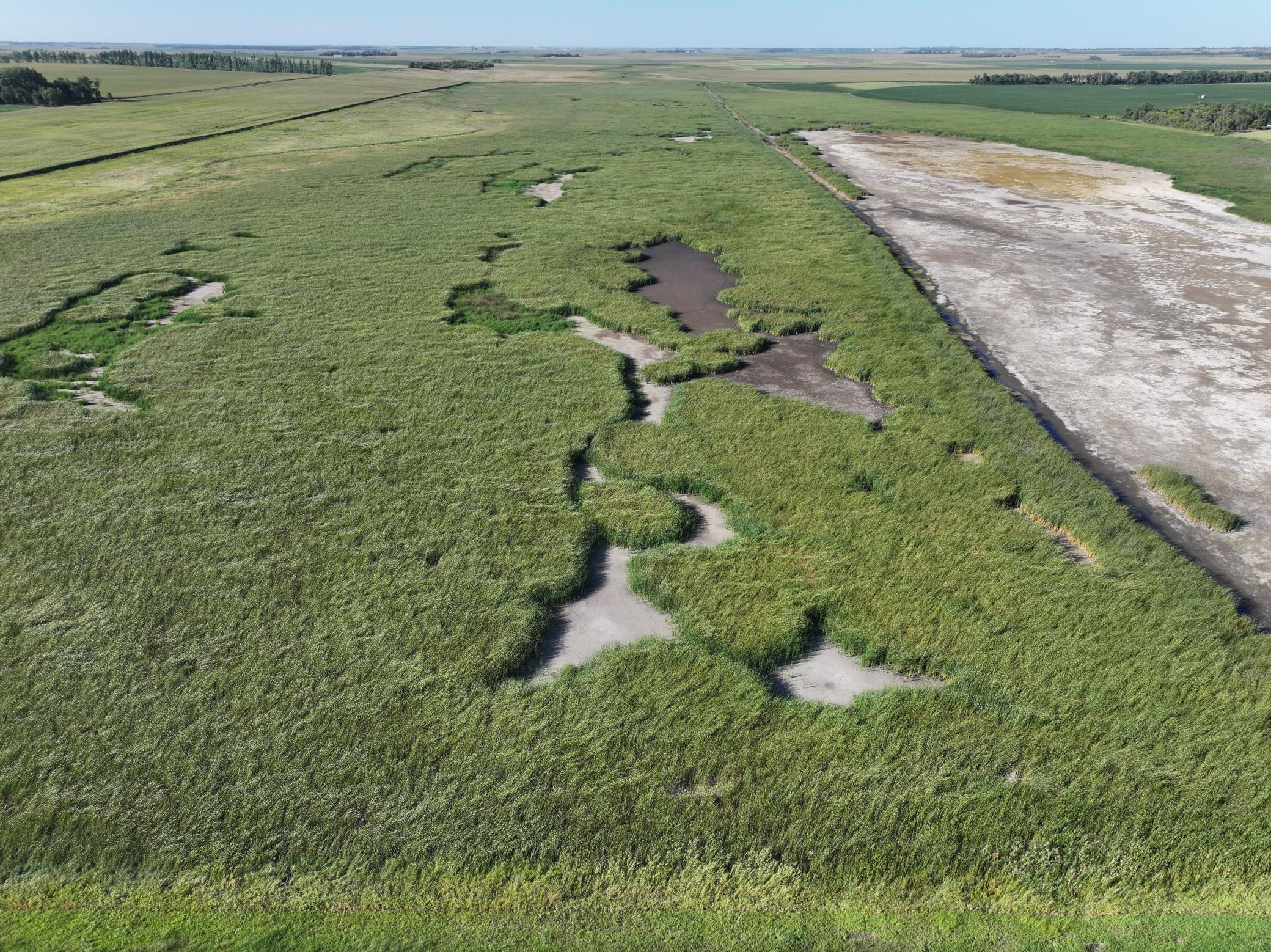 DJI_20260727215754_0025_D.jpeg