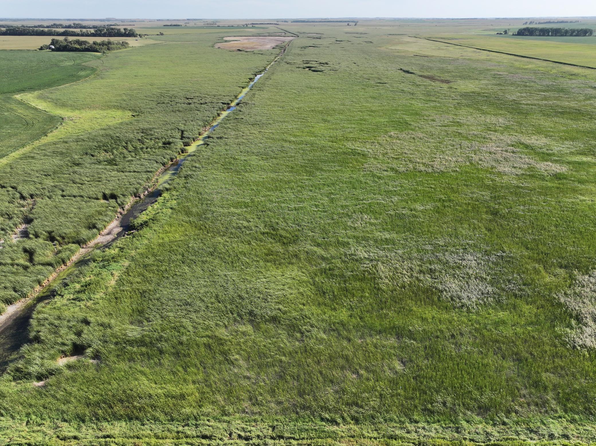 DJI_20260727215332_0013_D.jpeg