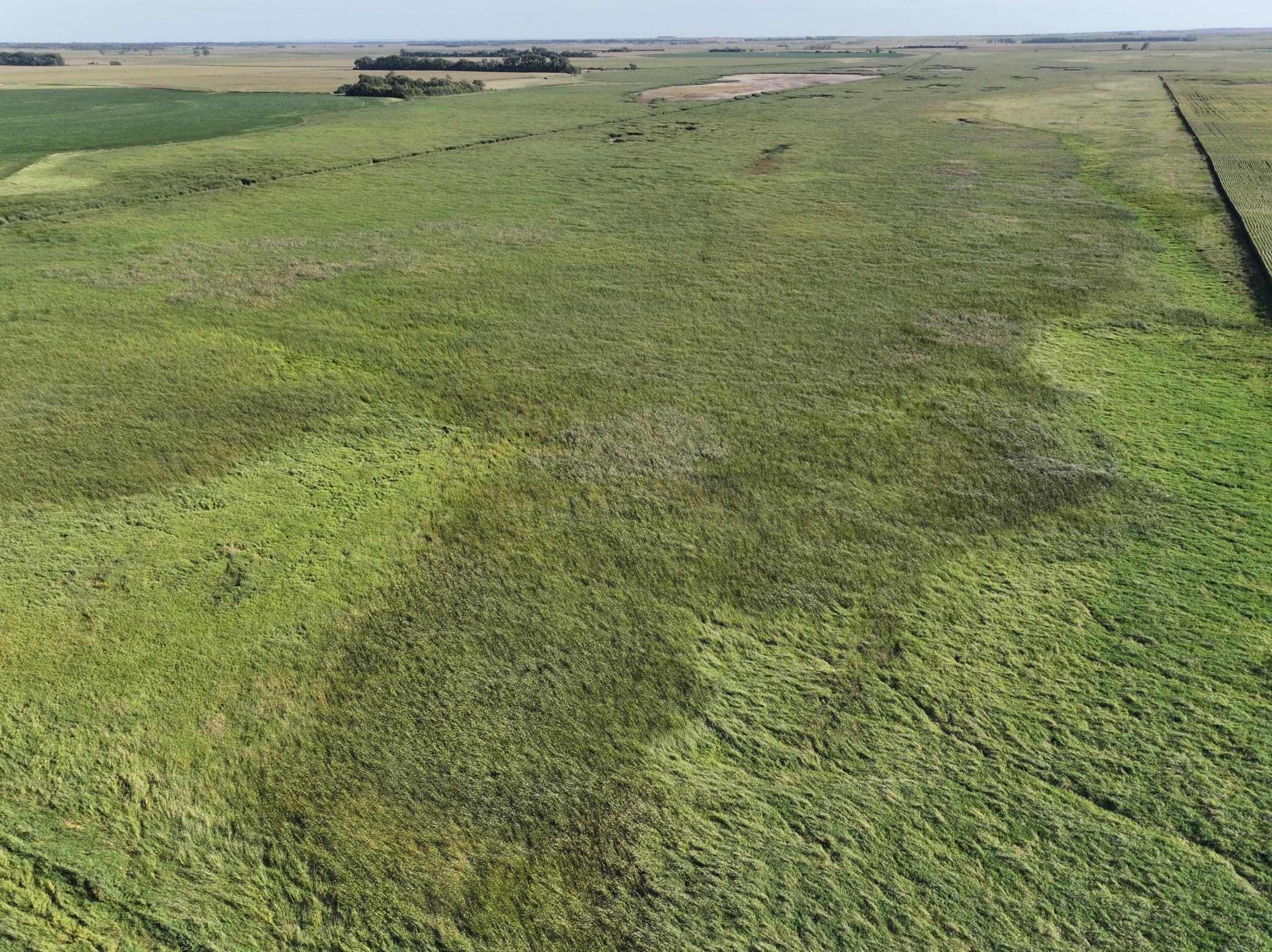 DJI_20260727215400_0014_D.jpeg