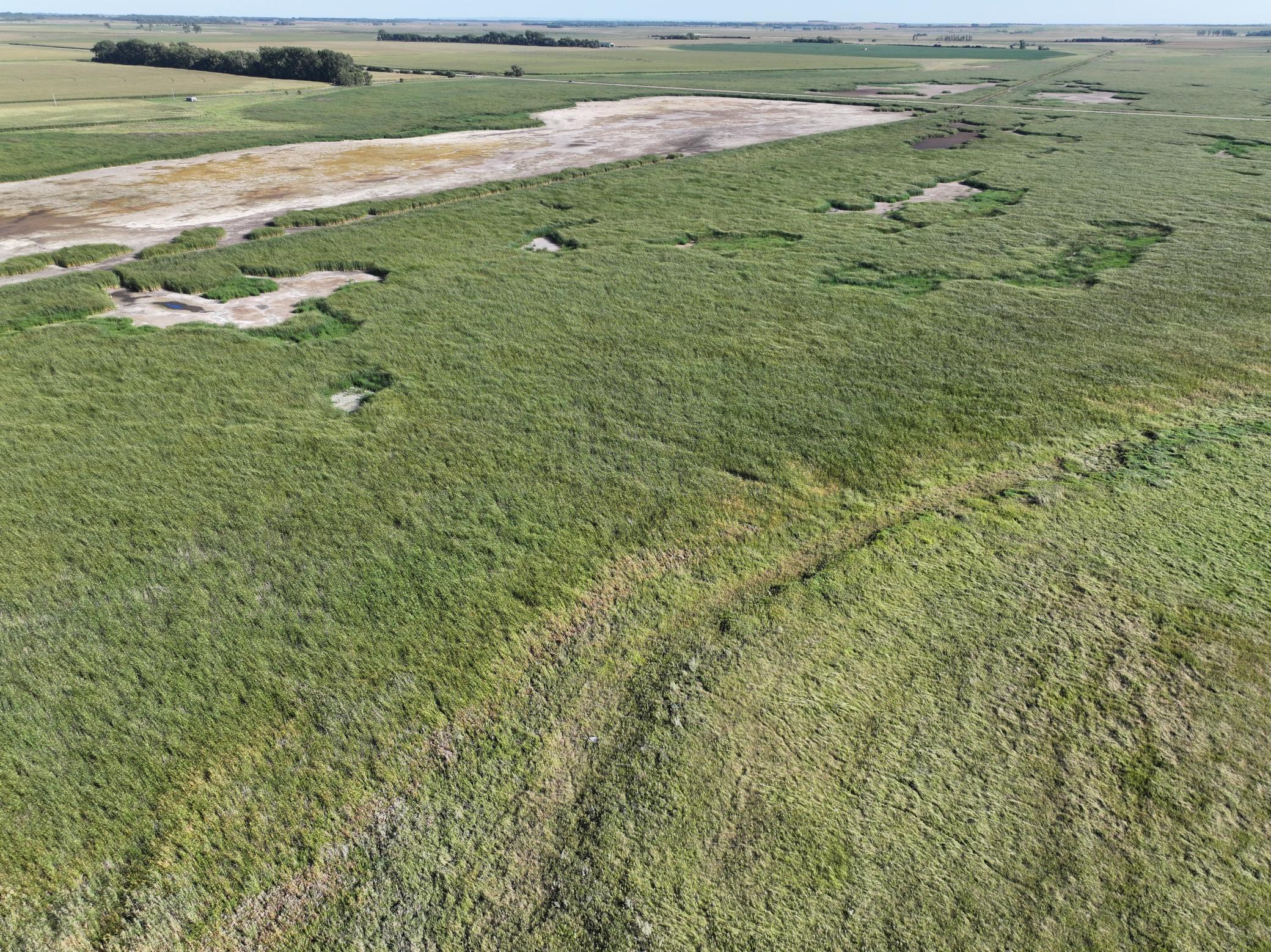 DJI_20260727215548_0020_D.jpeg