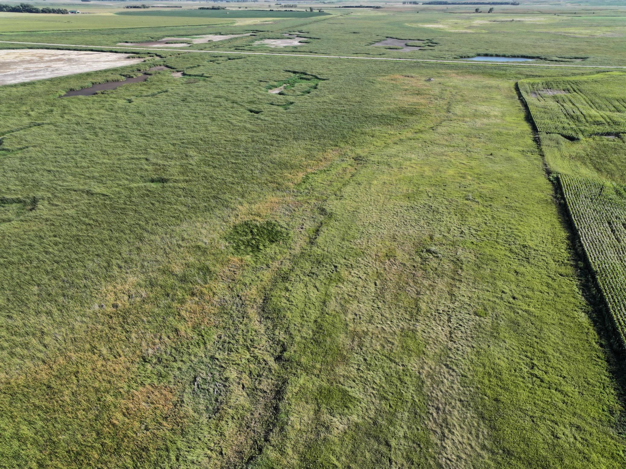 DJI_20260727215621_0022_D.jpeg