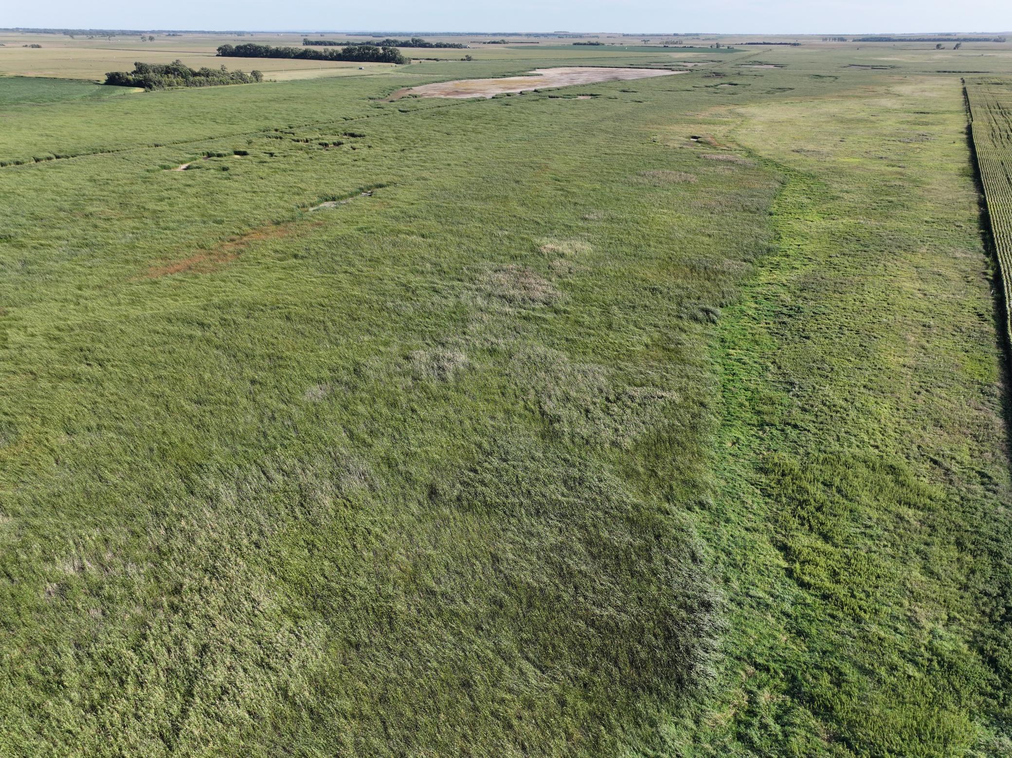 DJI_20260727215436_0016_D.jpeg