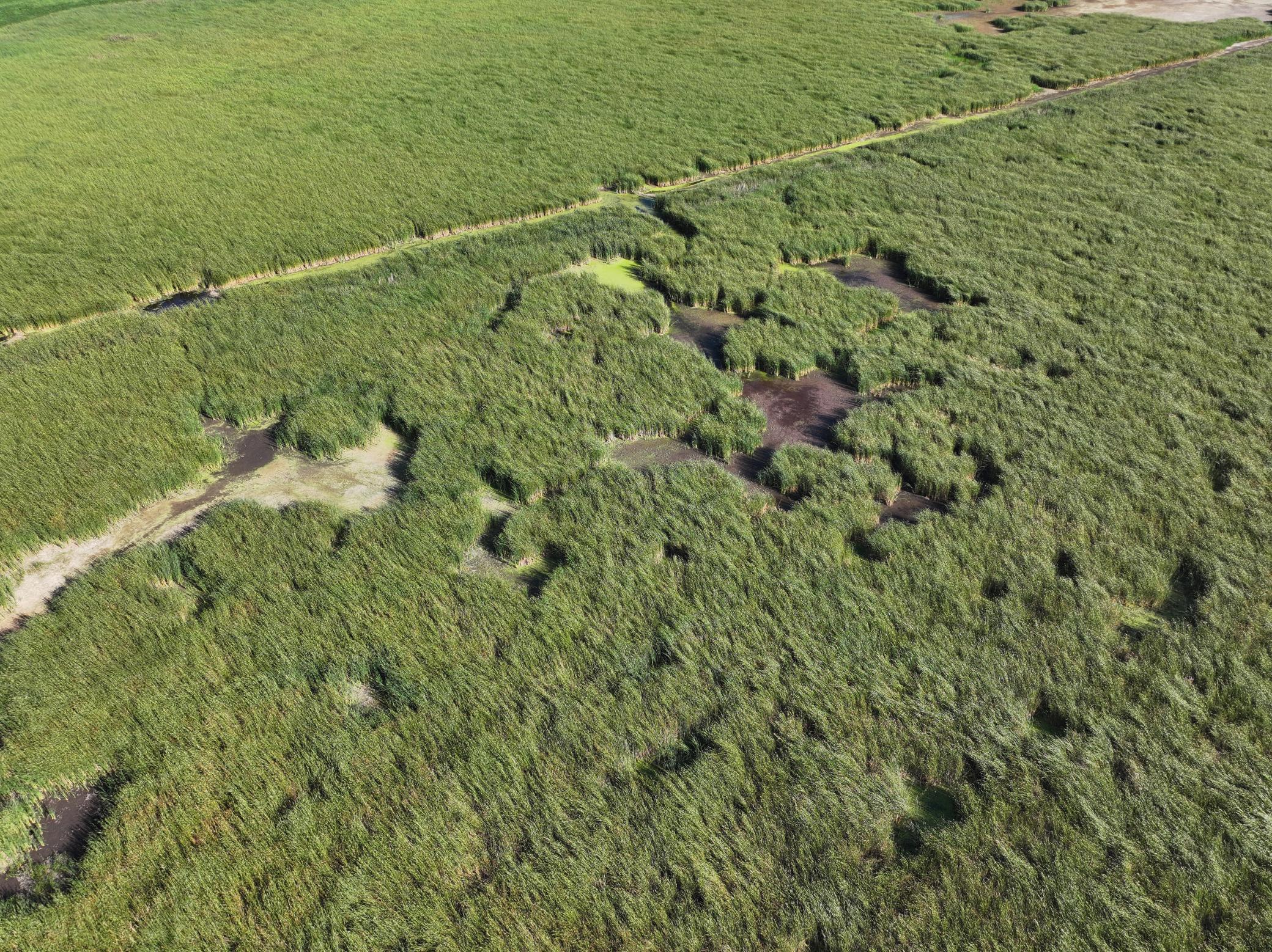 DJI_20260727215505_0018_D.jpeg