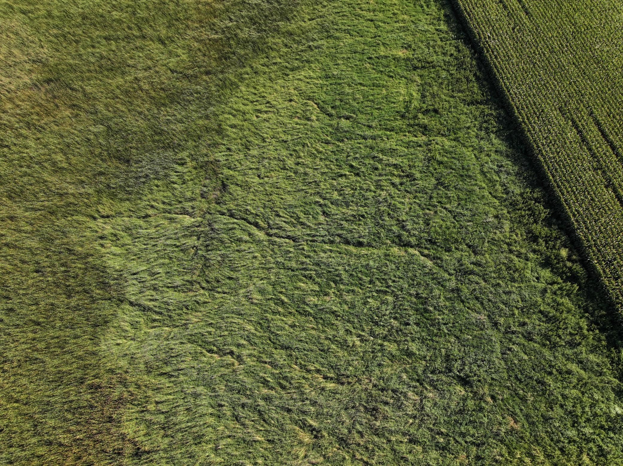 DJI_20260727215412_0015_D.jpeg
