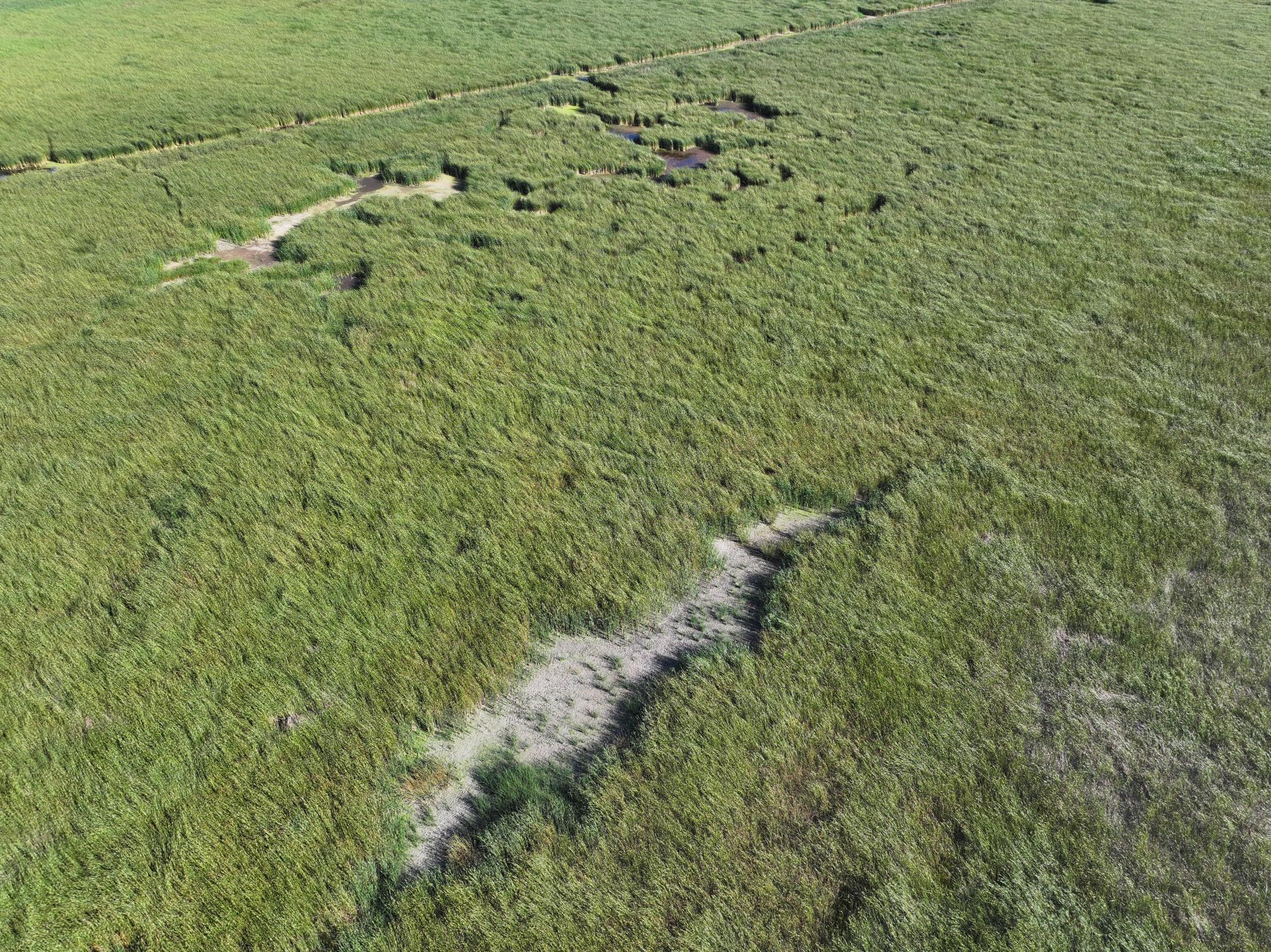 DJI_20260727215454_0017_D.jpeg