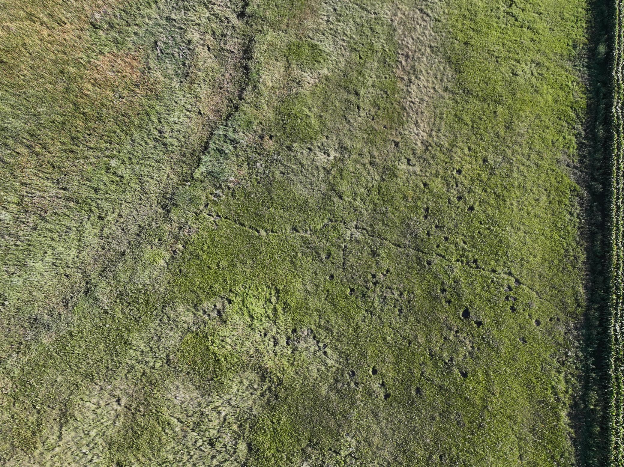 DJI_20260727215614_0021_D.jpeg