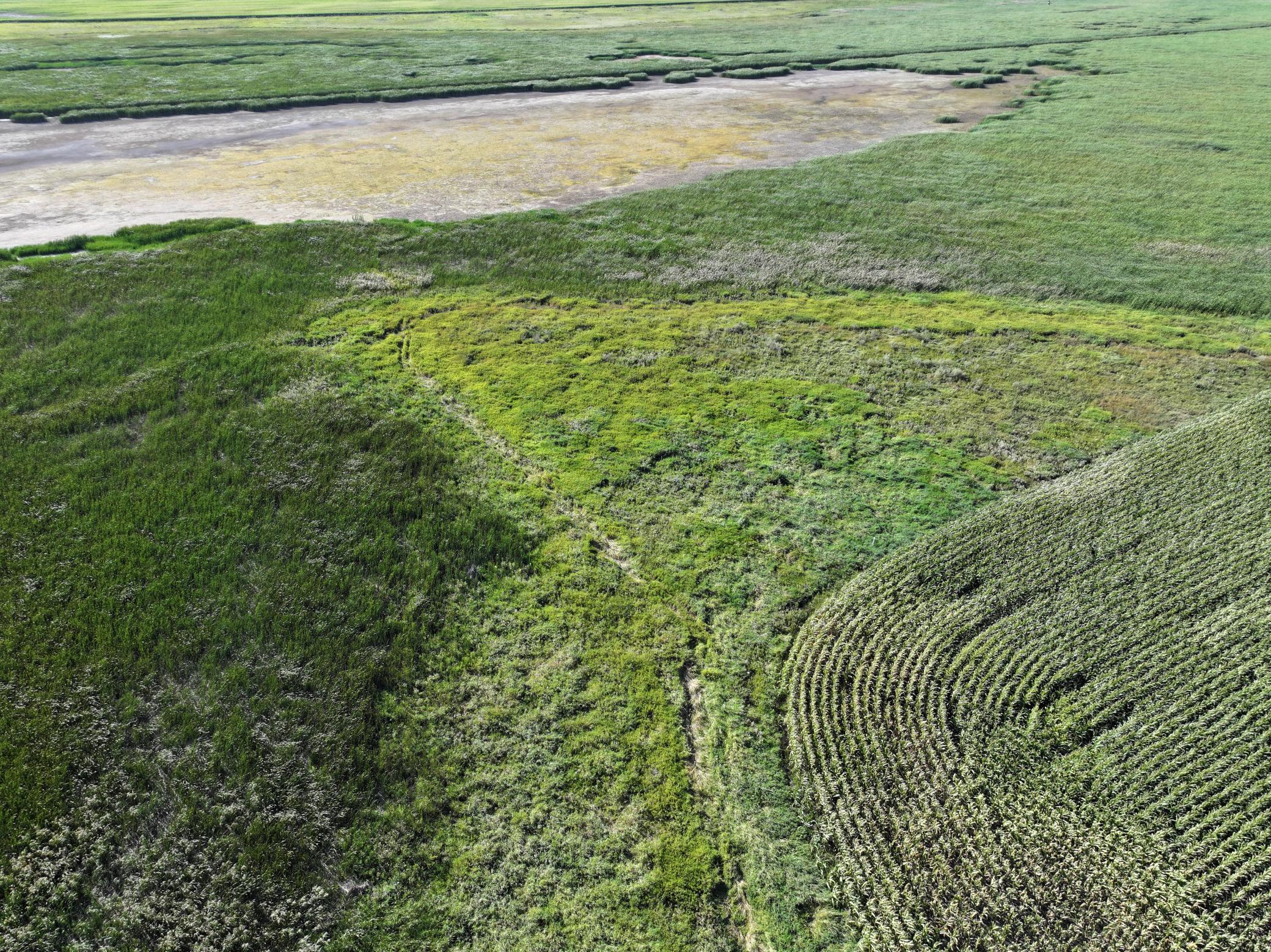 DJI_20260727215114_0007_D.jpeg