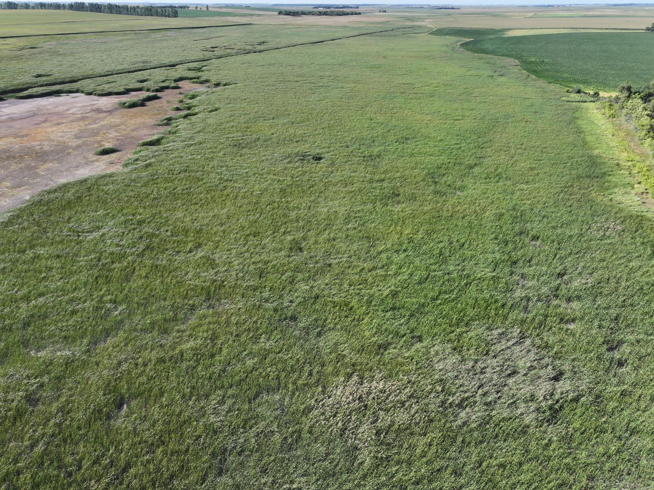 DJI_20260727215128_0008_D.jpeg