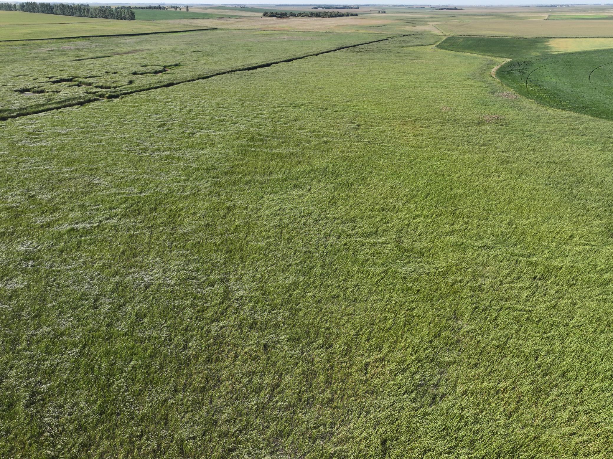 DJI_20260727215152_0009_D.jpeg