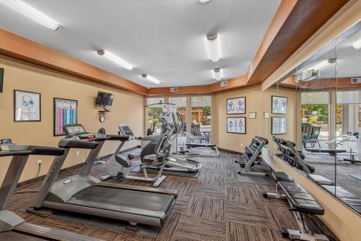 A thoughtfully equipped workout space means your fitness routine can stay on schedule, even when Minnesota weather has other plans