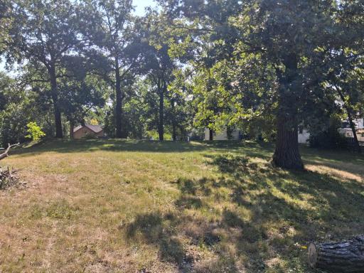 lot facing road.jpg