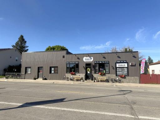 Frazee, MN 56544