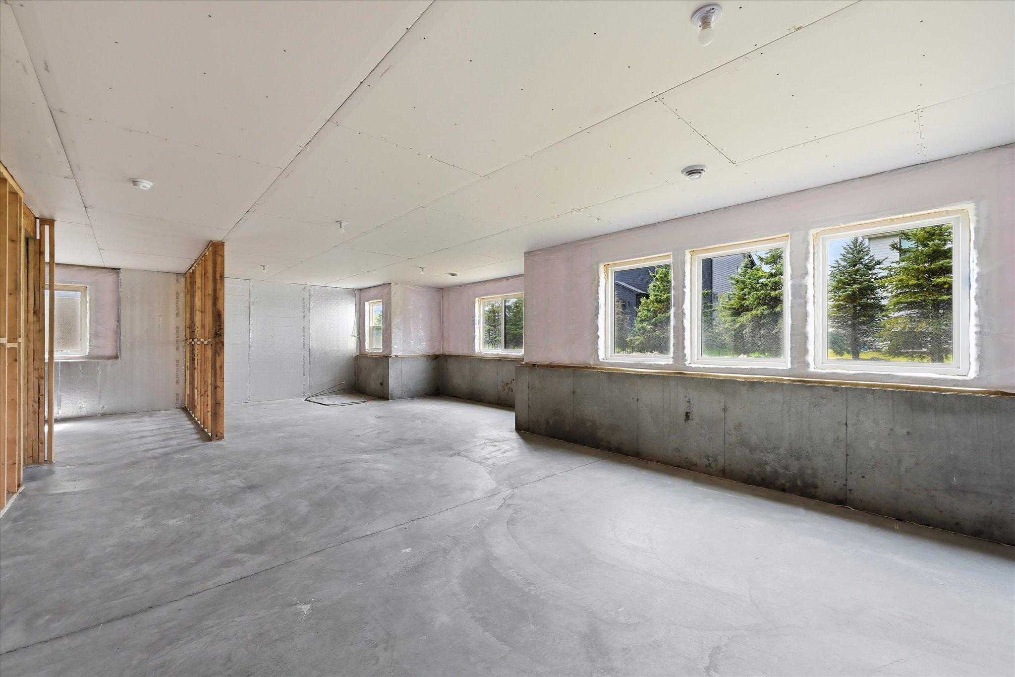 Unfinished basement