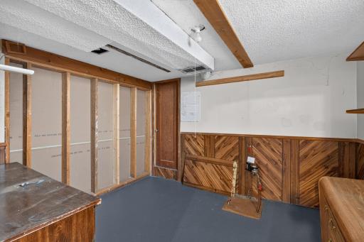 Storage room off of the downstairs entertainment room