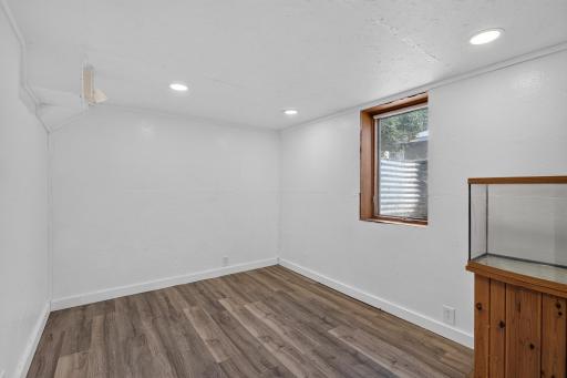 Bonus room once used for aquariums