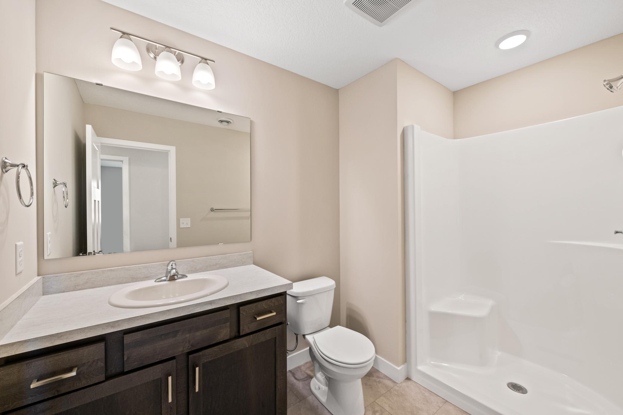 Basement Bathroom