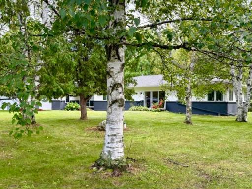 Mature trees throughout property