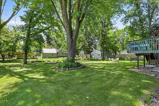 Well Maintained Yard