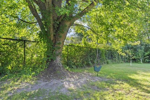 Fenced in backyard
