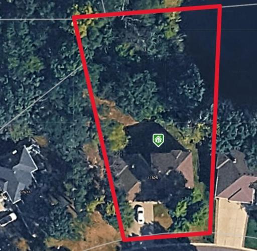 Approximate lot lines. Opportunity to increase open yard space by removing brush in backyard.