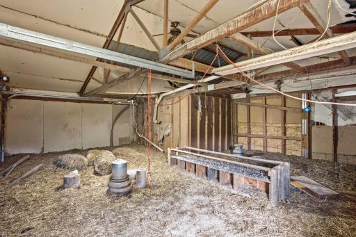 Chicken coop area