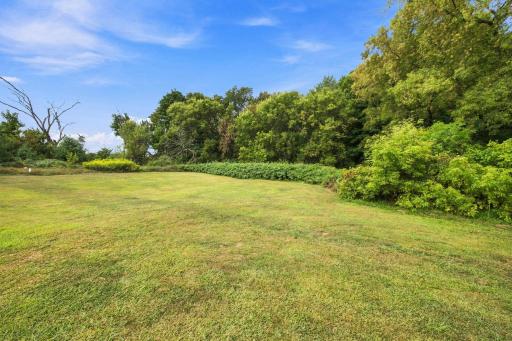 Mowed area