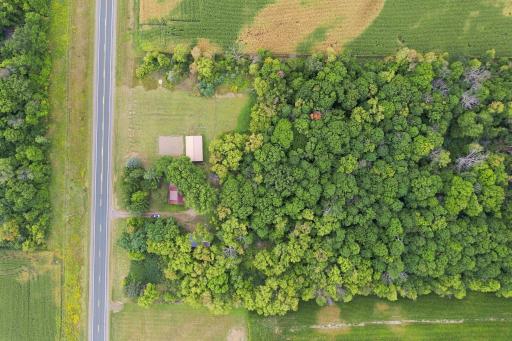 Ariel View