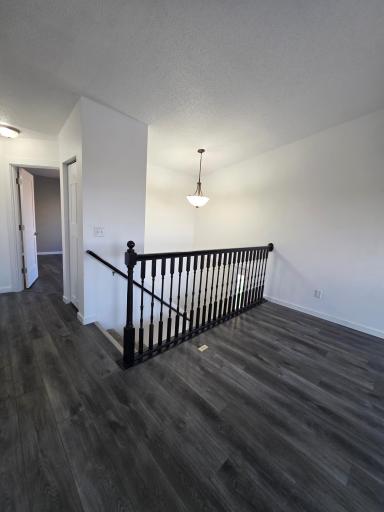 18463.jpg