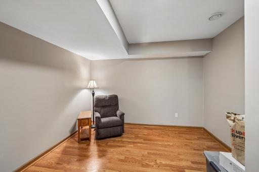 Finished room in the lower level Office? Movie room?