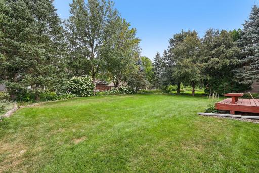 Mature landscaping
