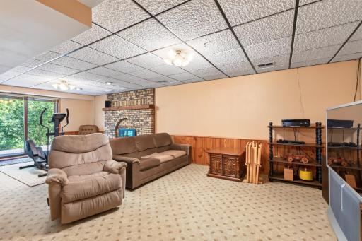 Lower walk out family room.jpg
