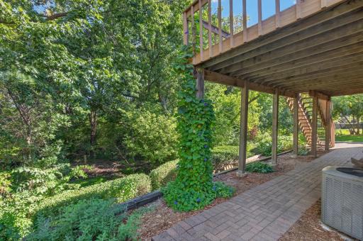 Patio view.jpg