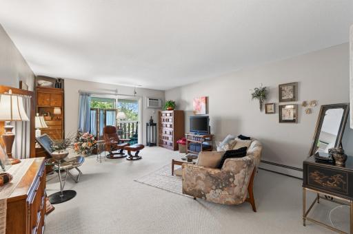 4045 Hodgson Road, 317, Shoreview, MN 55126