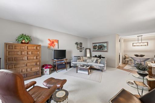 4045 Hodgson Road, 317, Shoreview, MN 55126