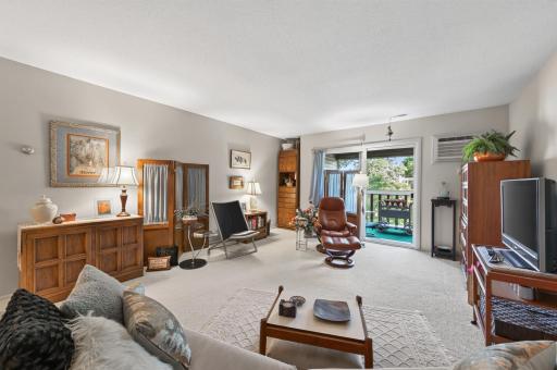4045 Hodgson Road, 317, Shoreview, MN 55126