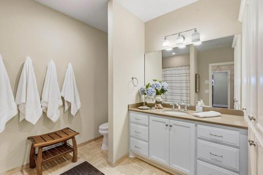 21 Phoebe Lane, North Oaks, MN 55127